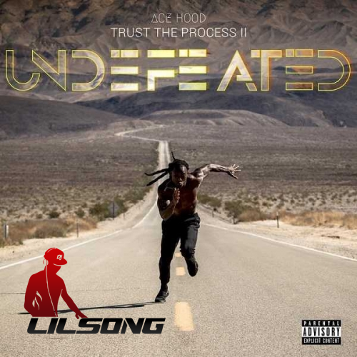 Ace Hood - Trust The Process II Undefeated